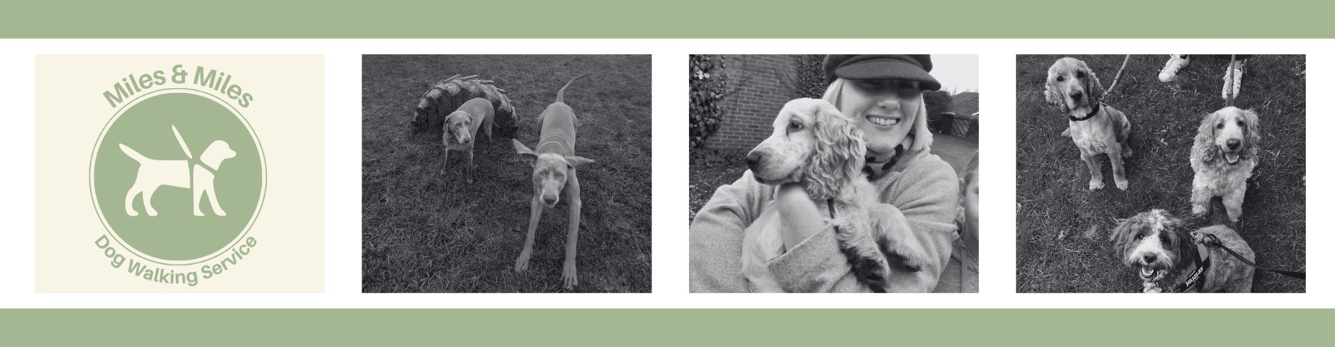 dog walker based in Walsall, covering Great Barr,  Sutton Coldfield